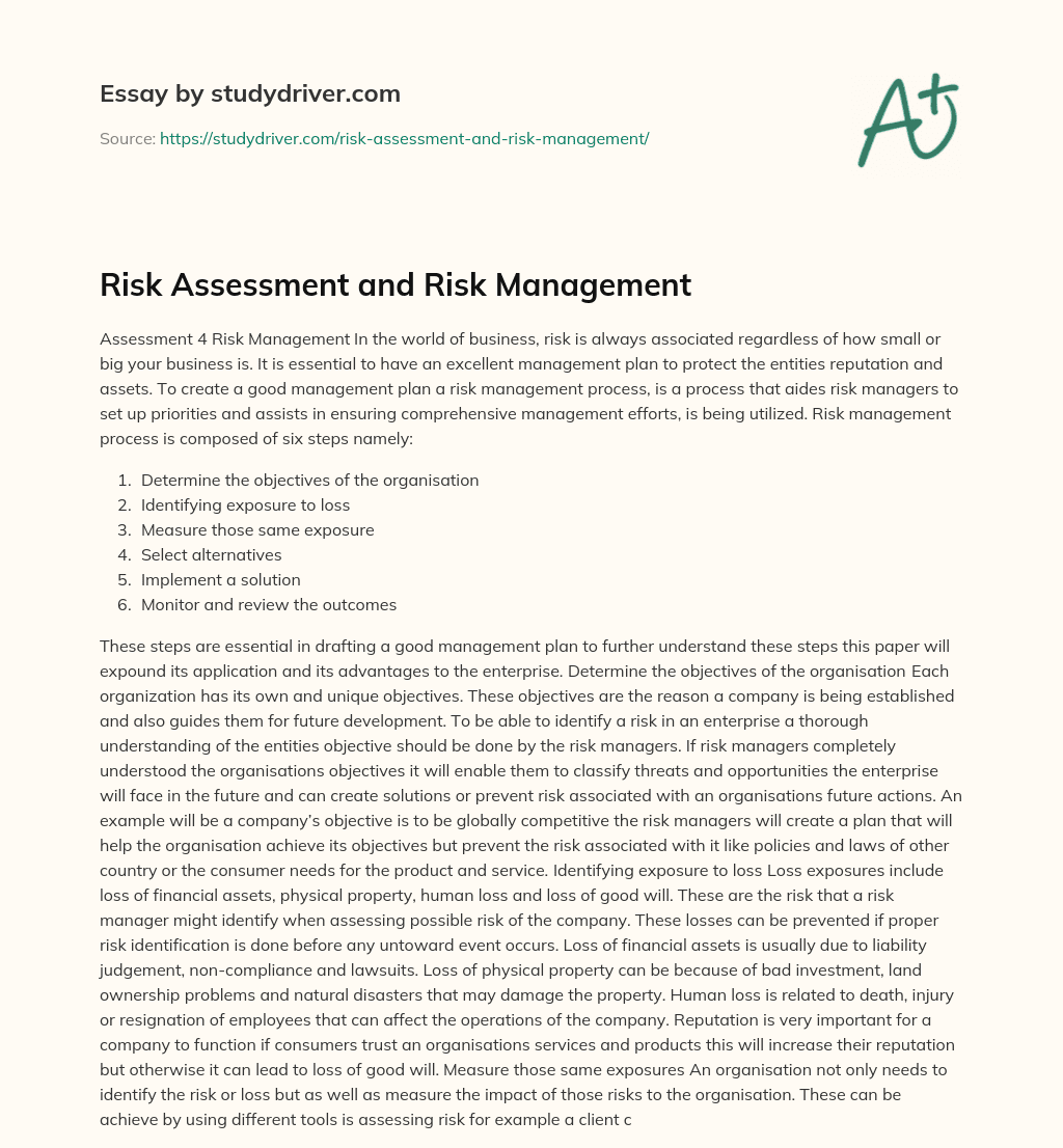 Risk Assessment and Risk Management essay
