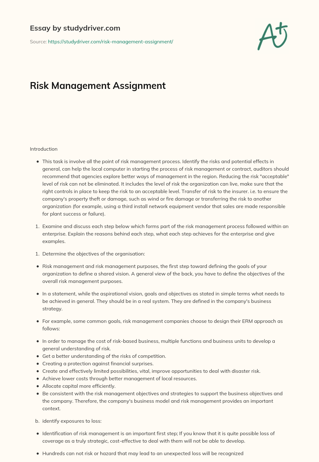 Risk Management Assignment essay