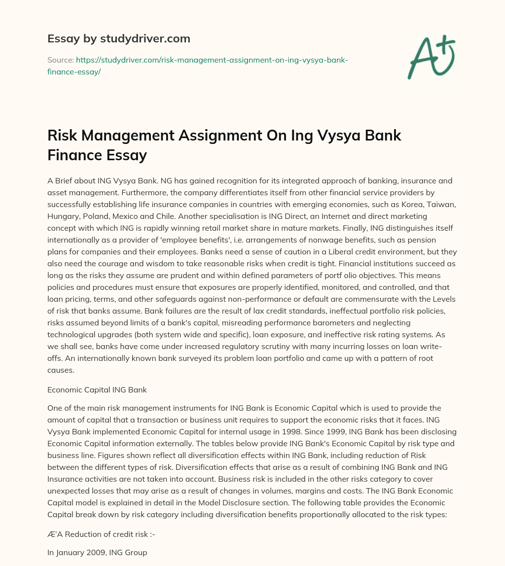 Risk Management Assignment on Ing Vysya Bank Finance Essay essay