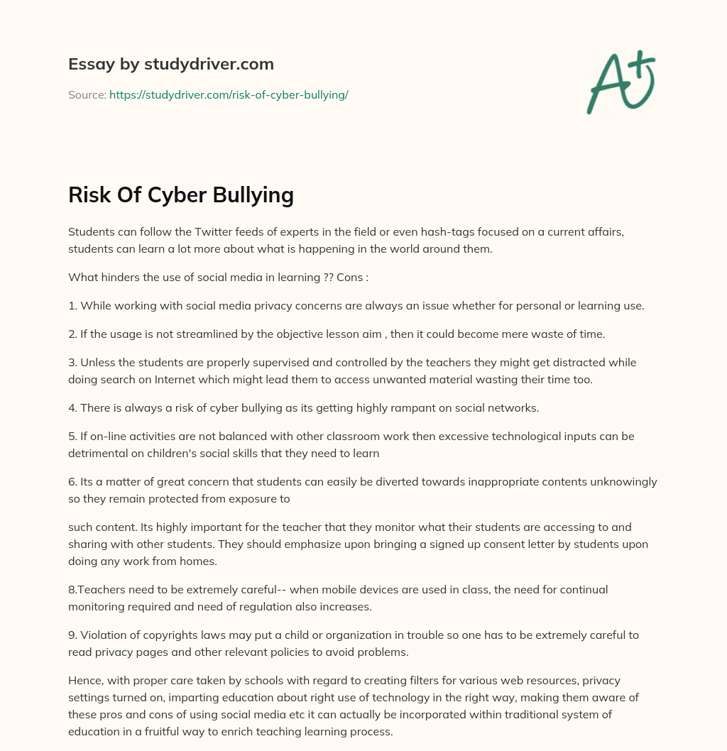 Risk of Cyber Bullying essay