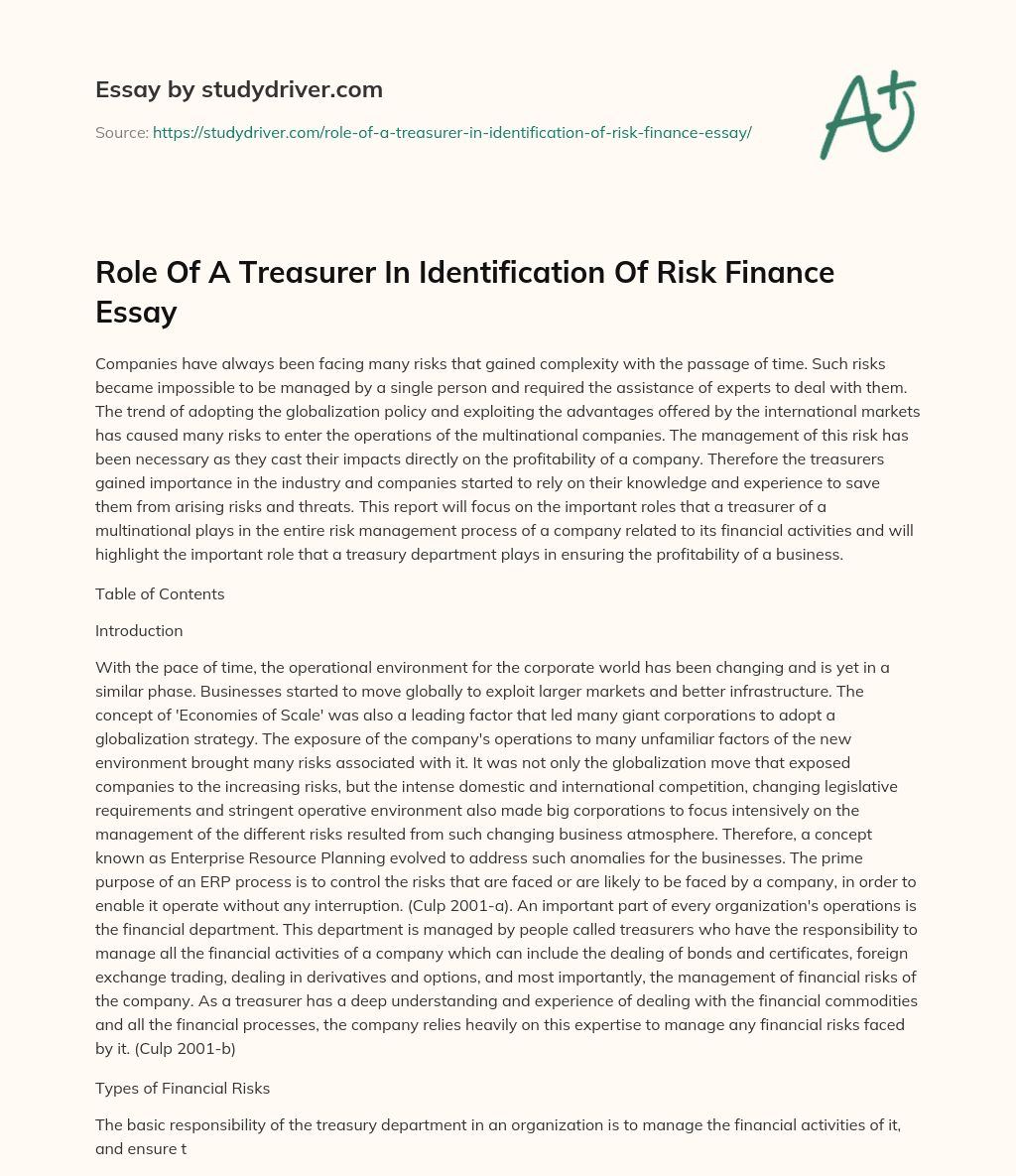 Role of a Treasurer in Identification of Risk Finance Essay essay