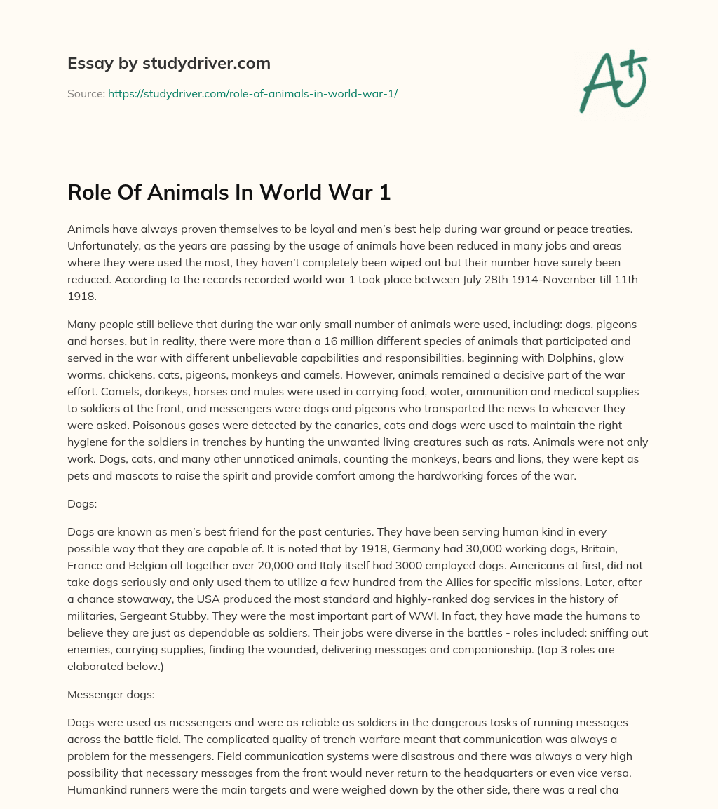 Role of Animals in World War 1 essay