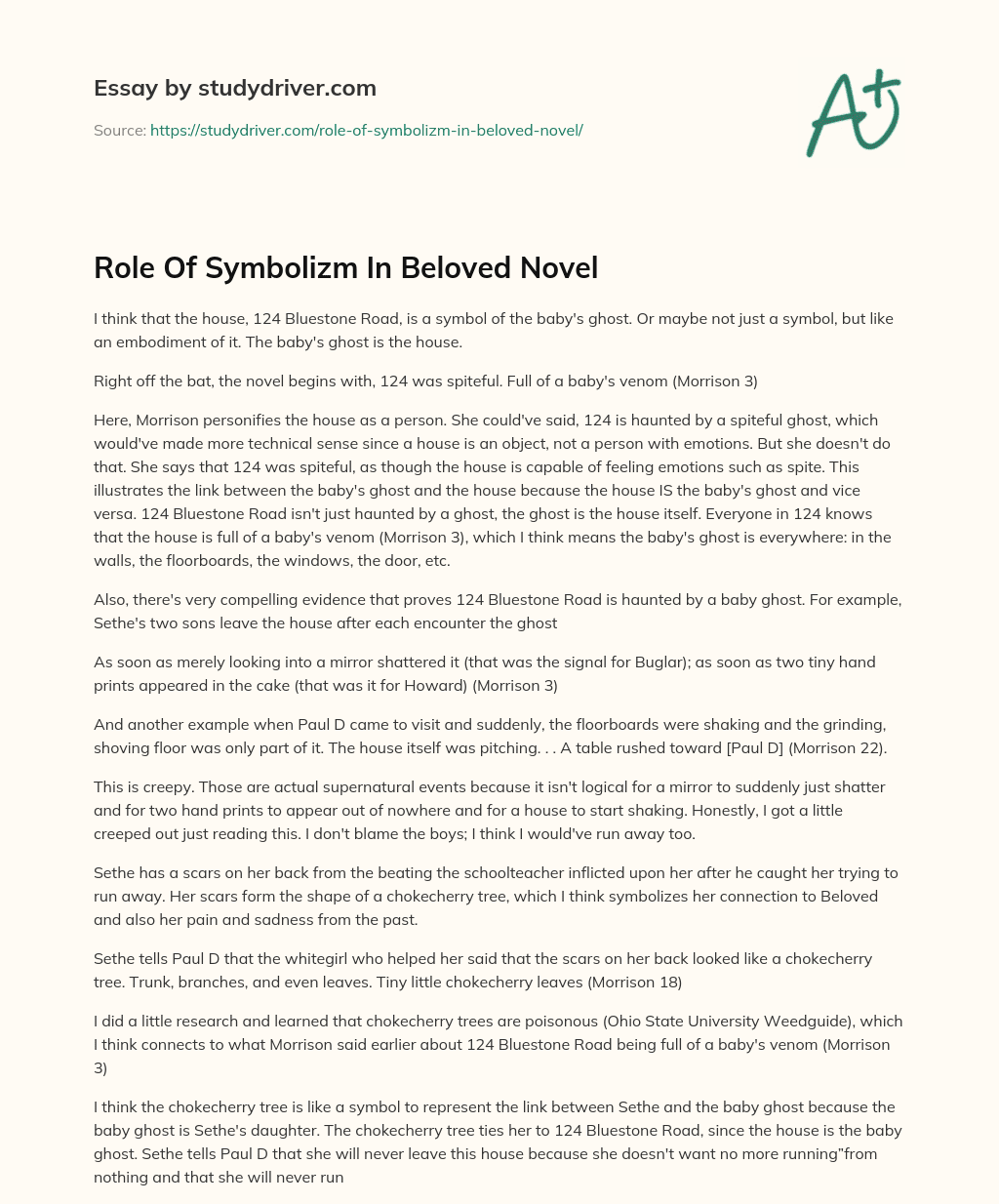 Role of Symbolizm in Beloved Novel essay