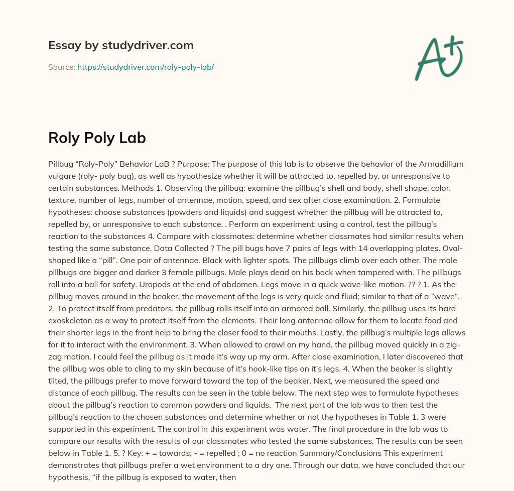Roly Poly Lab essay