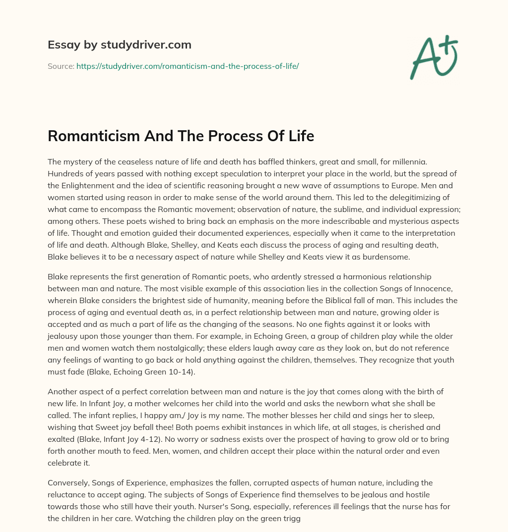 Romanticism and the Process of Life essay