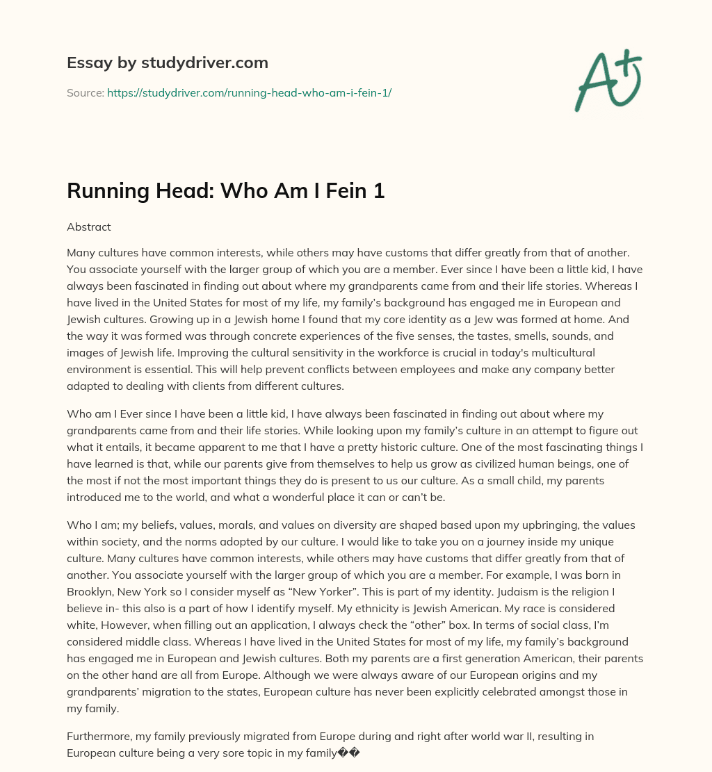 Running Head: who am i Fein 1 essay