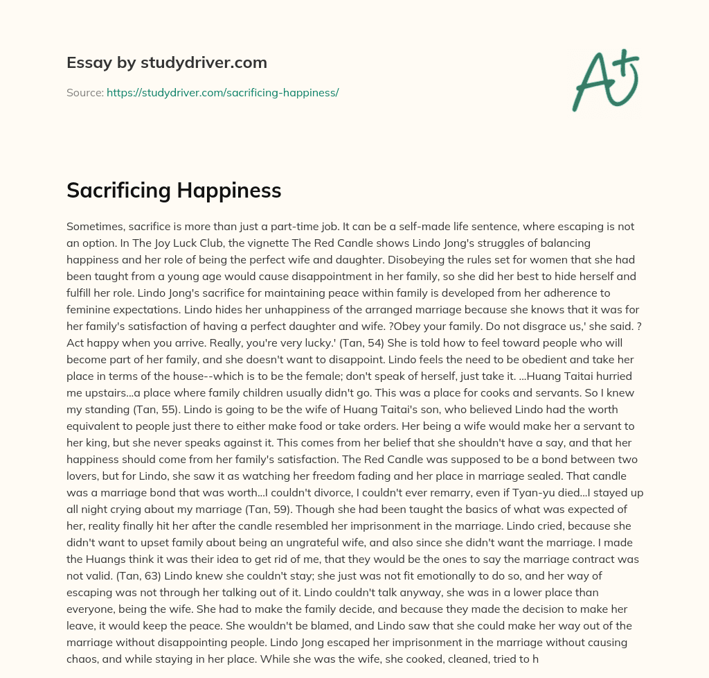 Sacrificing Happiness essay