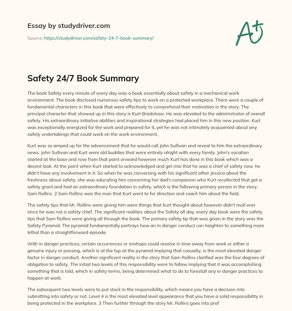Safety 24/7 Book Summary essay