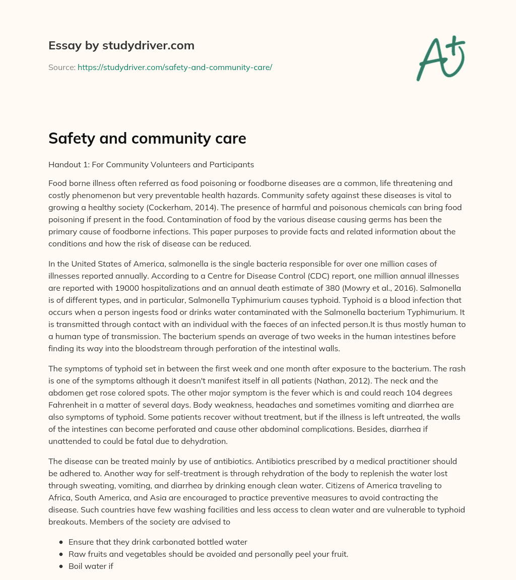 Safety and Community Care essay