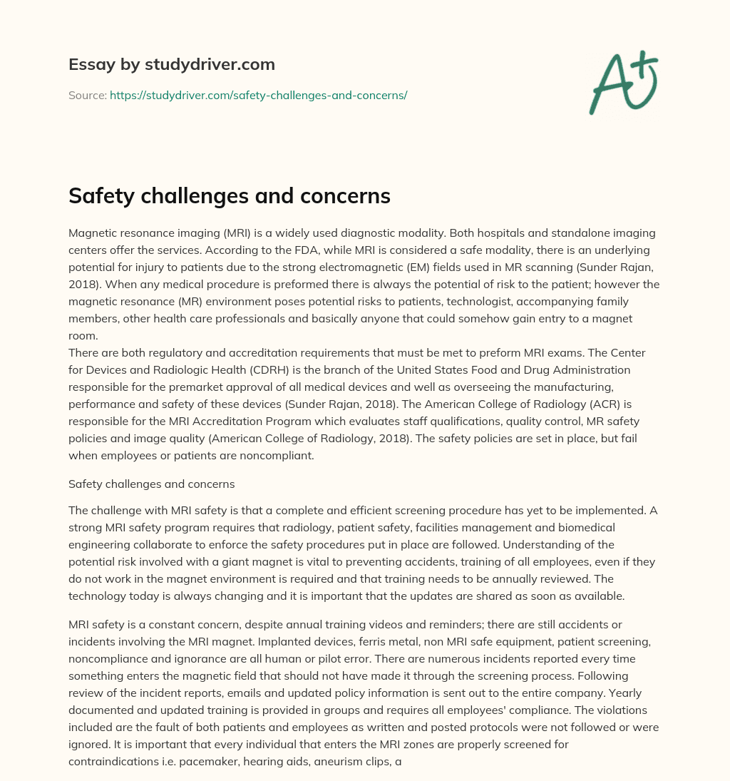 Safety Challenges and Concerns essay