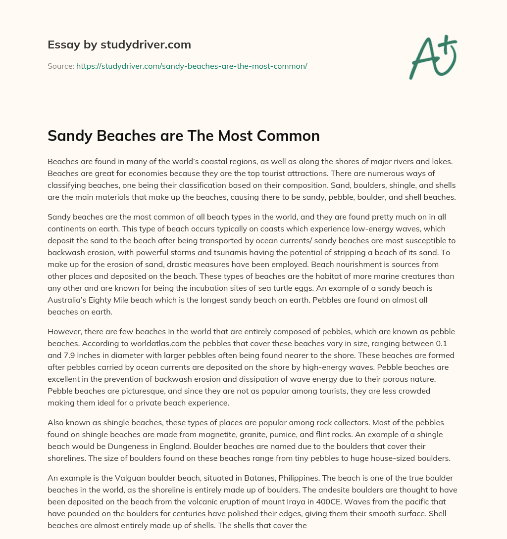 Sandy Beaches are the most Common essay