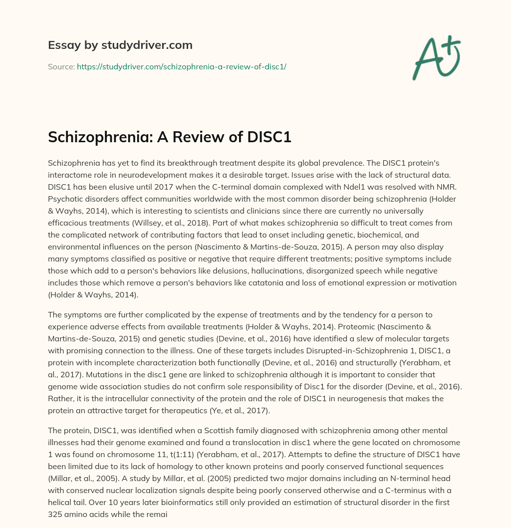 Schizophrenia: a Review of DISC1 essay