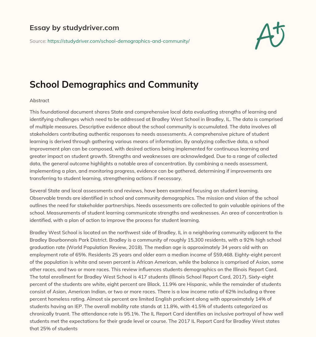 School Demographics and Community essay