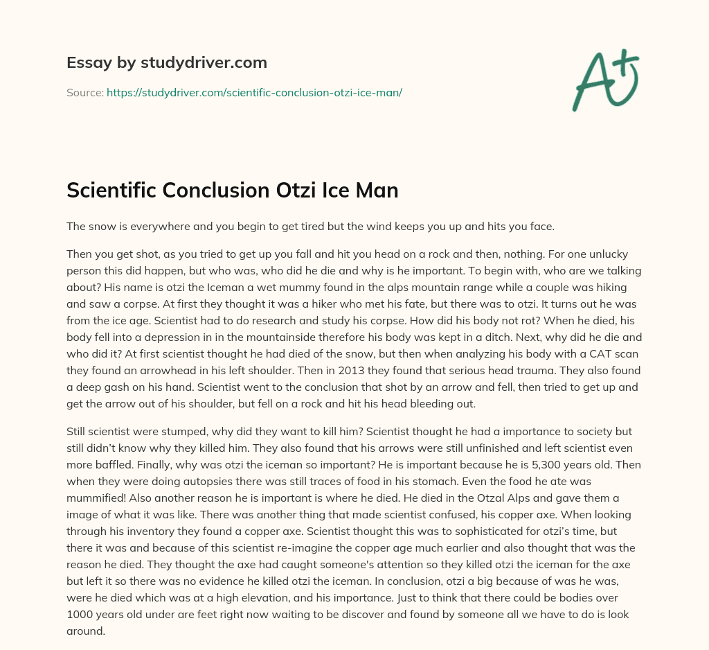 Scientific Conclusion Otzi Ice Man essay