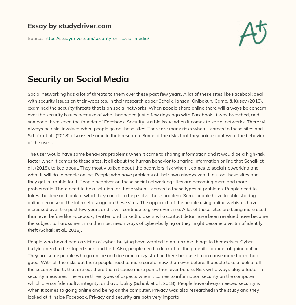 Security on Social Media essay
