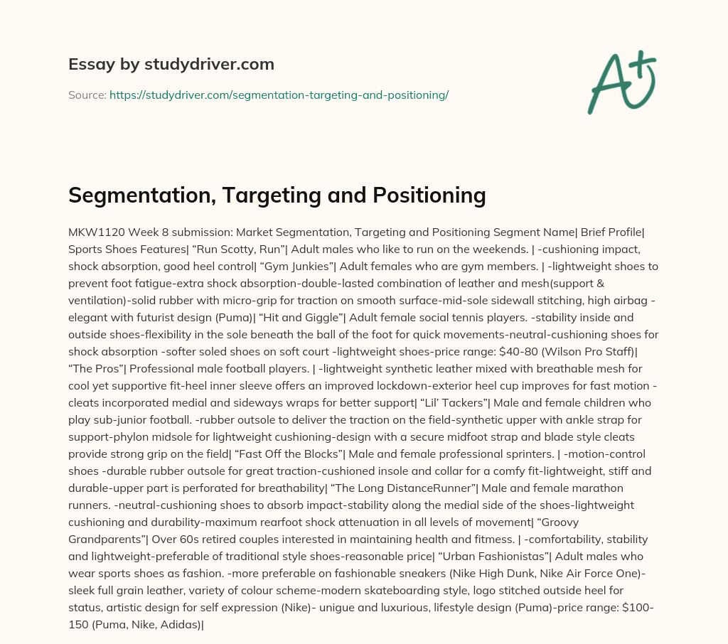 Segmentation, Targeting and Positioning essay
