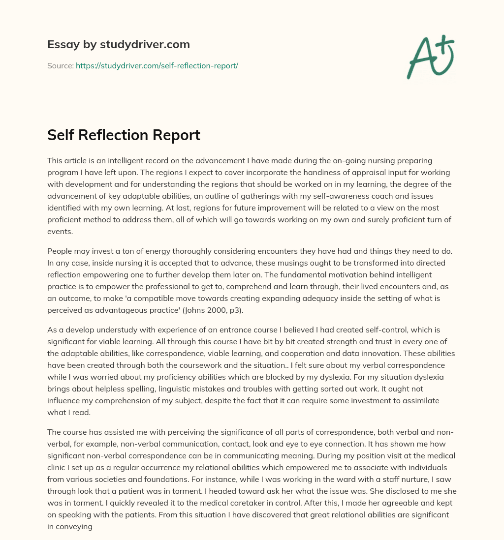 Self Reflection Report essay