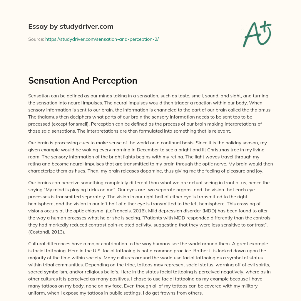 Sensation and Perception essay