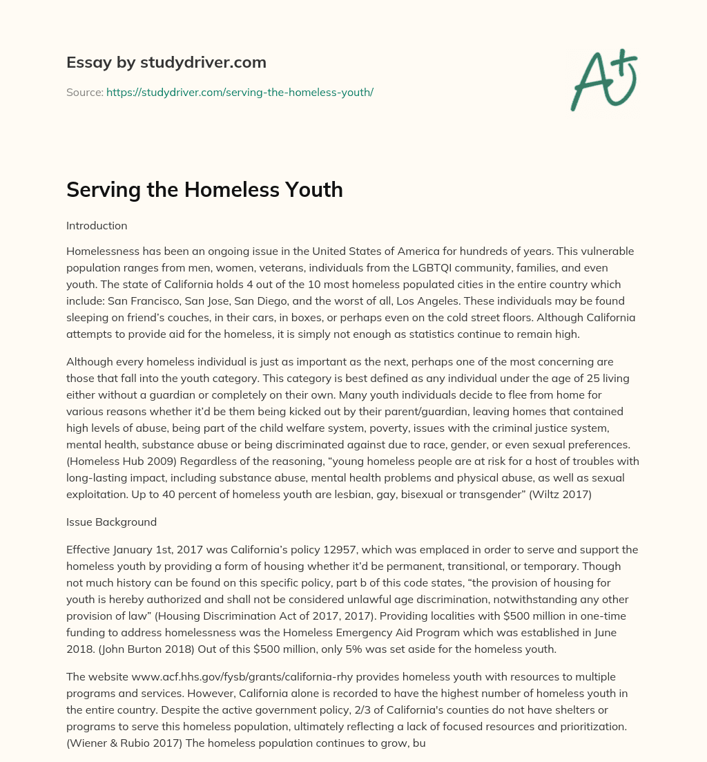 Serving the Homeless Youth essay