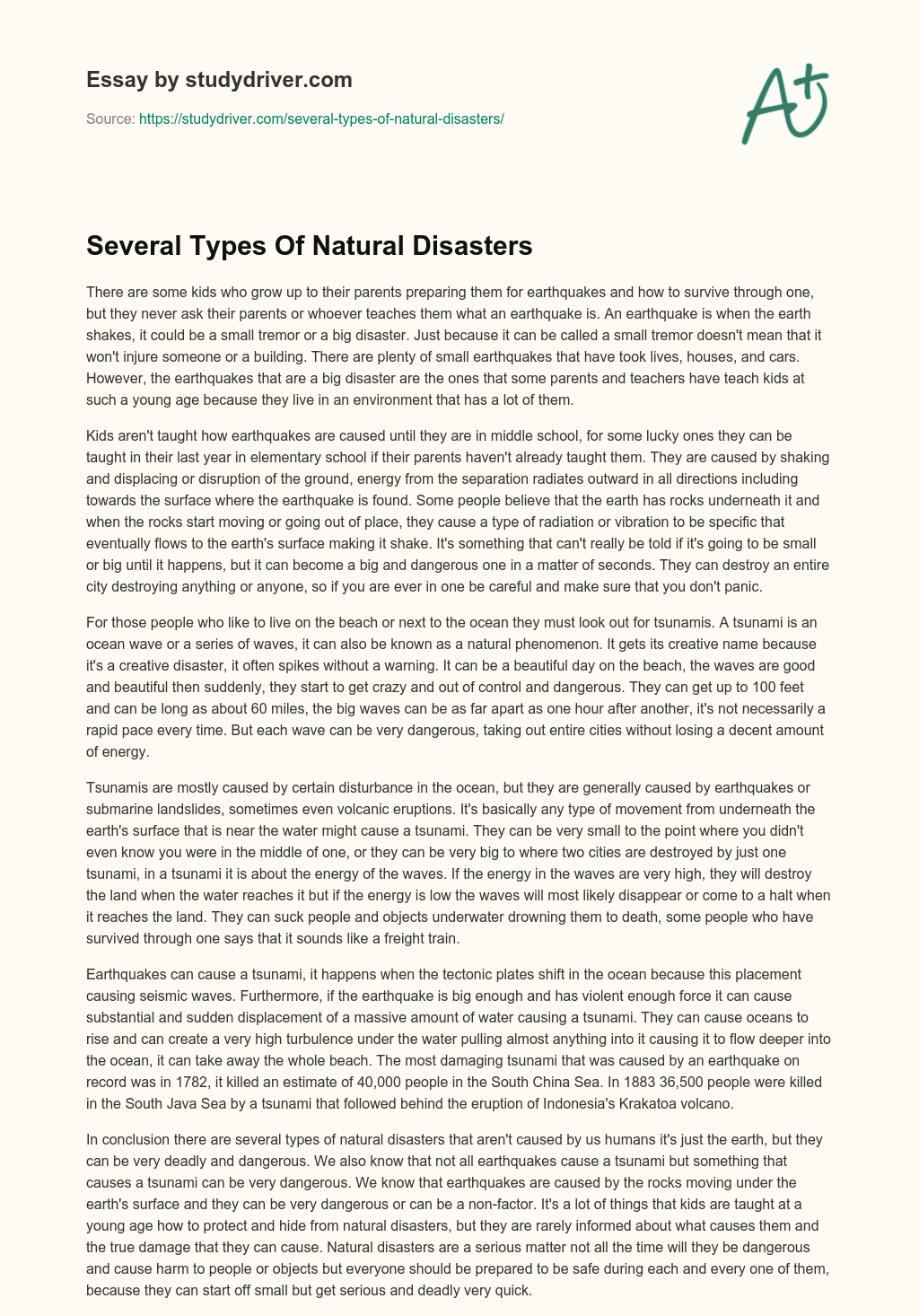 Several Types of Natural Disasters essay