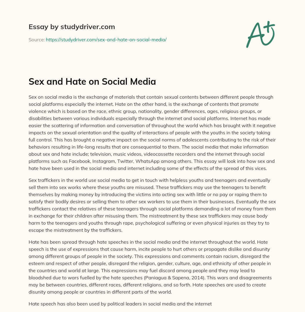 Sex and Hate on Social Media essay