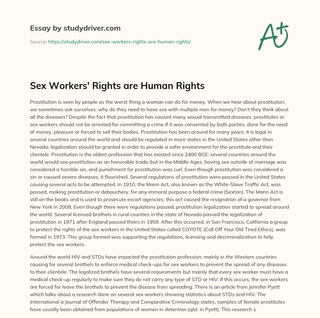 Sex Workers’ Rights are Human Rights essay