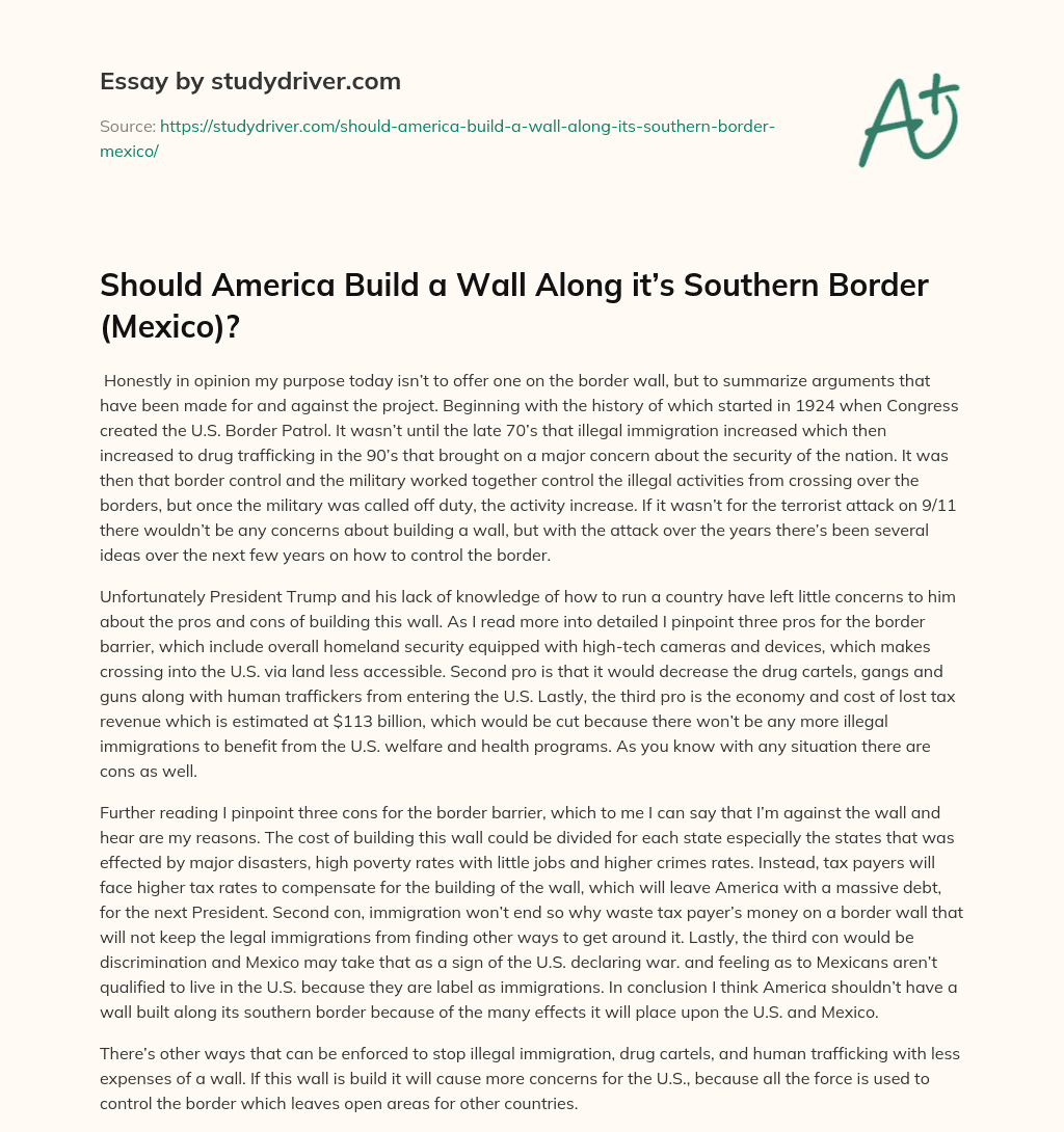 Should America Build a Wall Along It’s Southern Border (Mexico)? essay