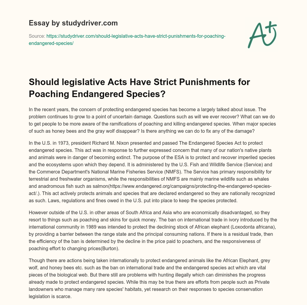 Should Legislative Acts have Strict Punishments for Poaching Endangered Species? essay