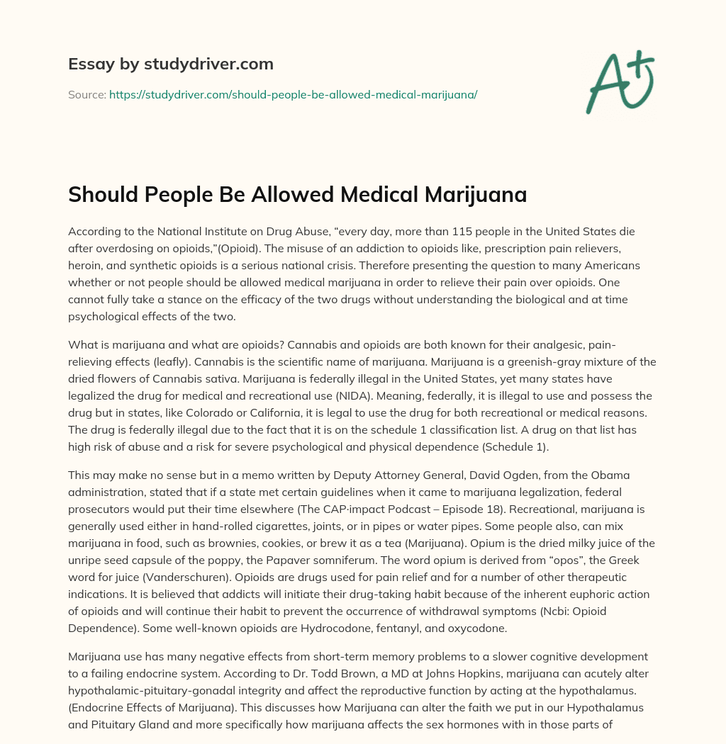 Should People be Allowed Medical Marijuana essay