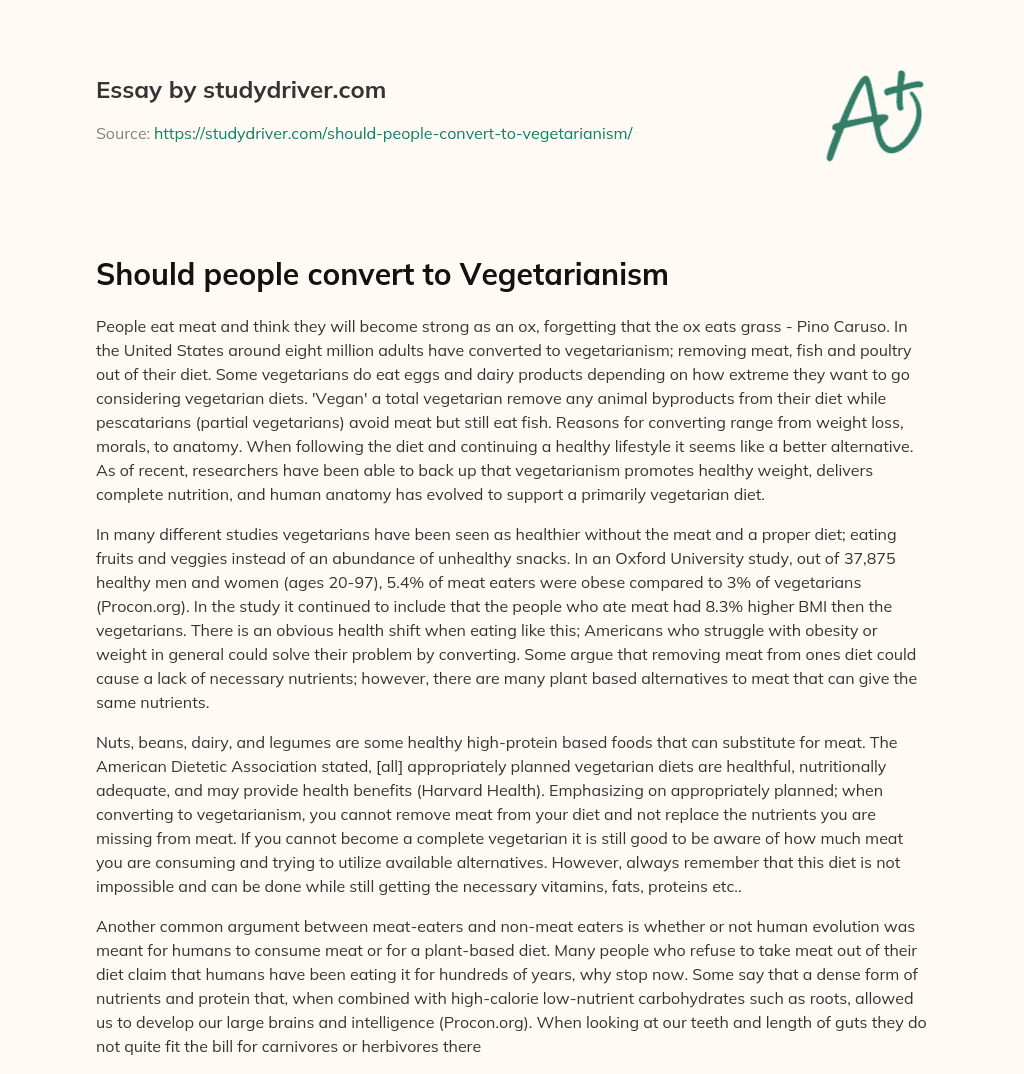 Should People Convert to Vegetarianism essay