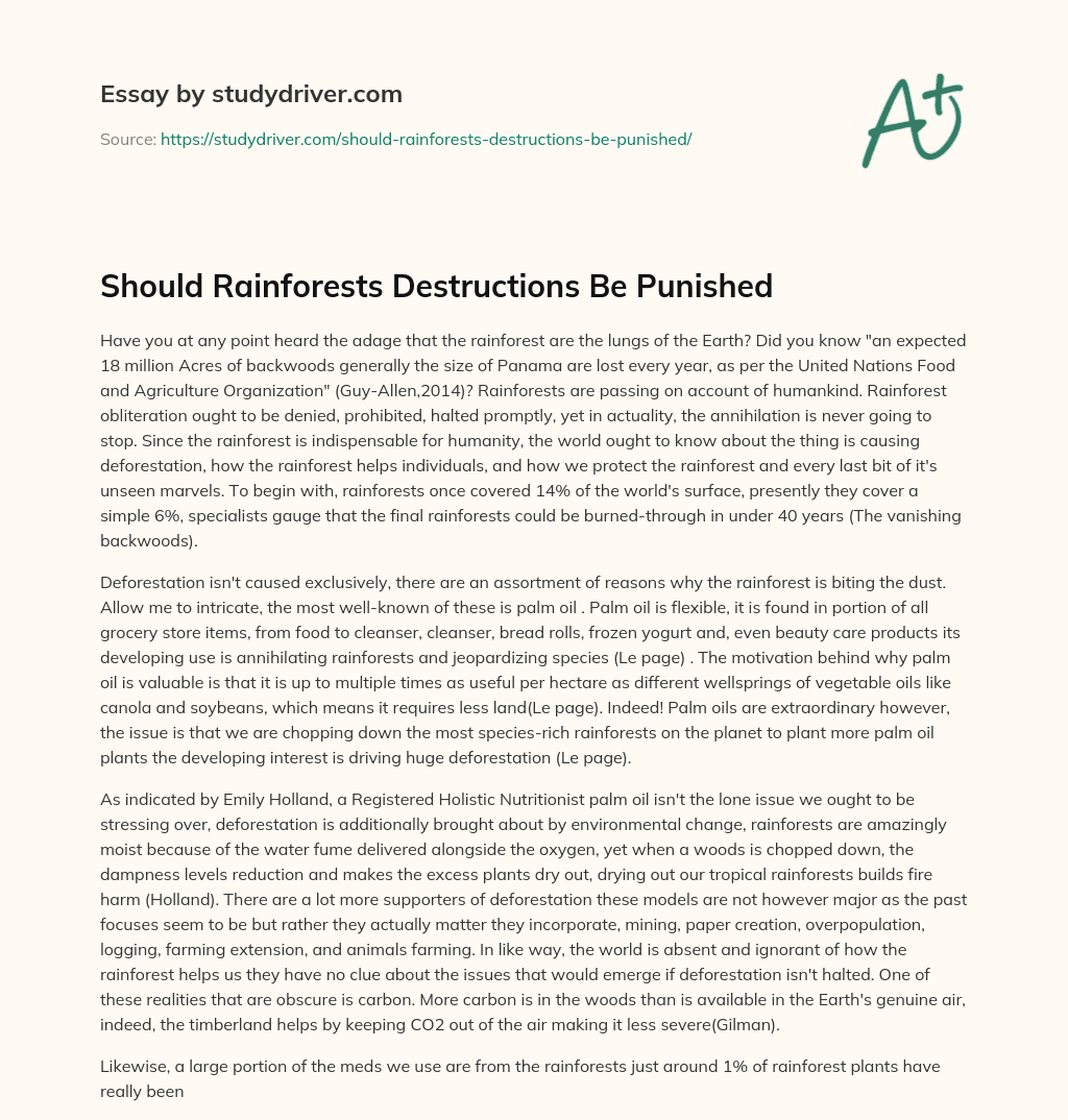 Should Rainforests Destructions be Punished essay