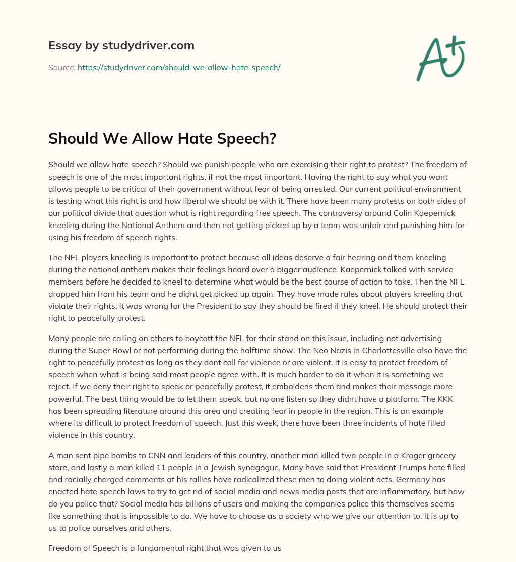 Should we Allow Hate Speech? essay
