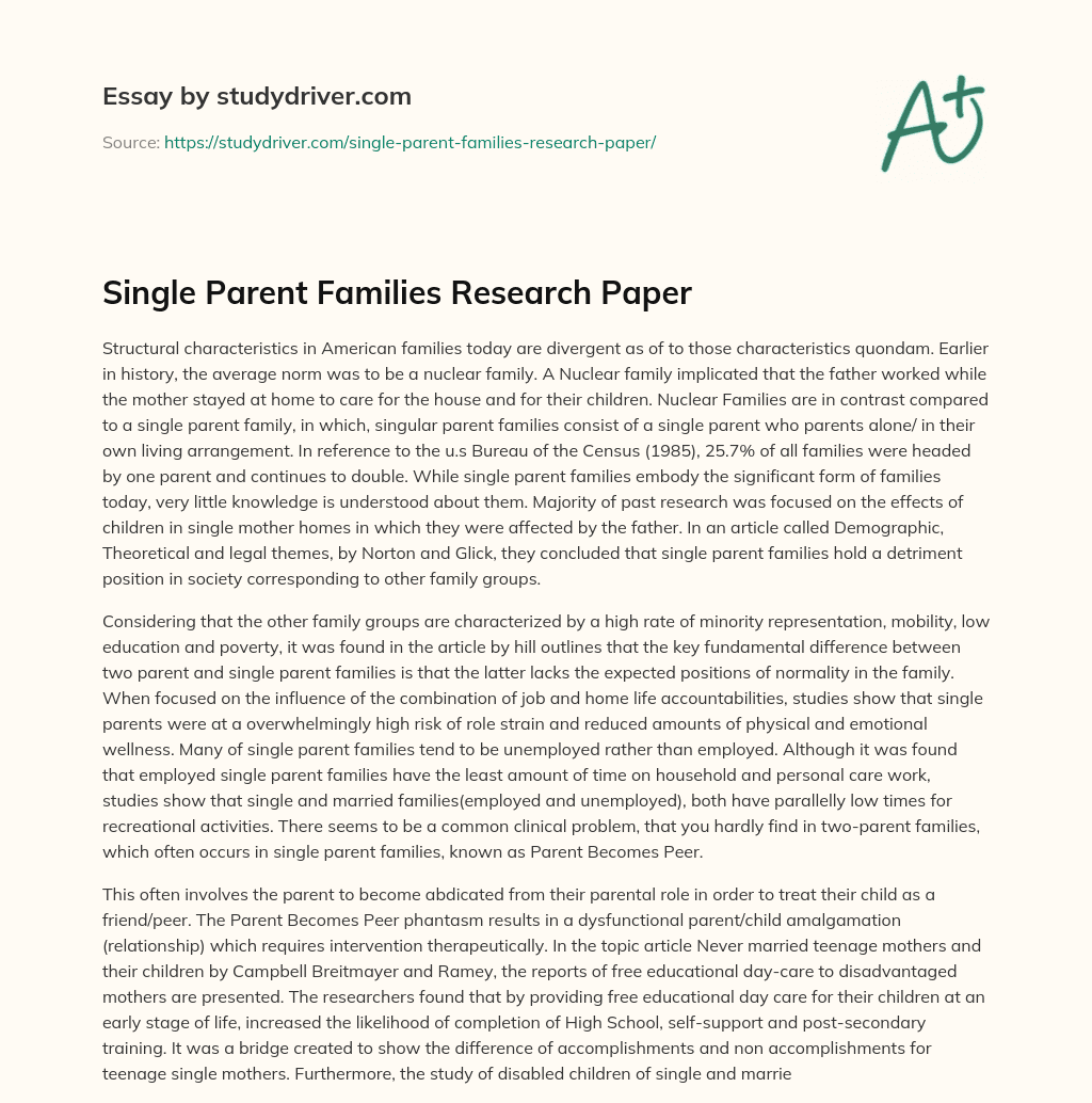 Single Parent Families Research Paper essay
