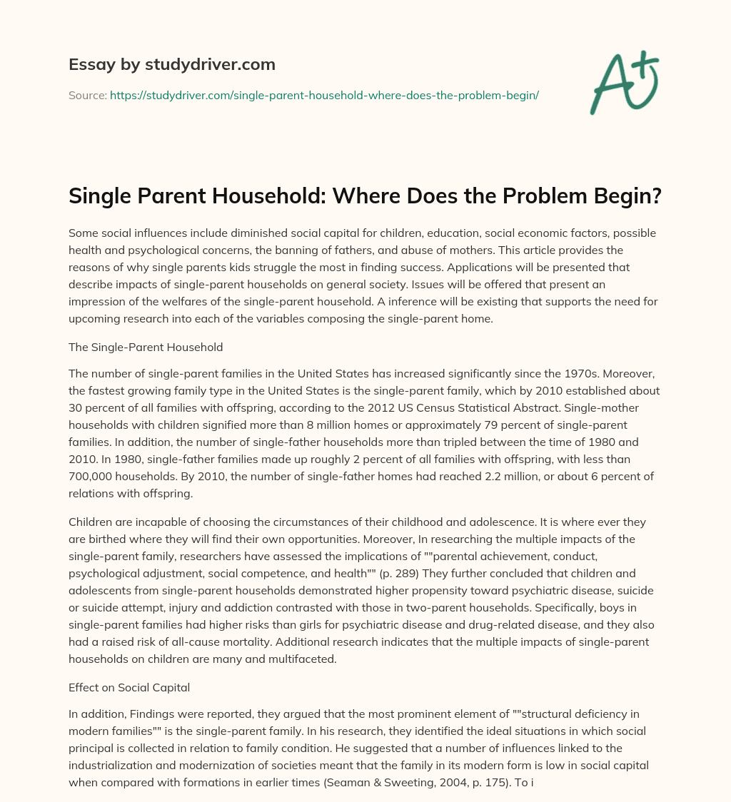 Single Parent Household: where does the Problem Begin? essay