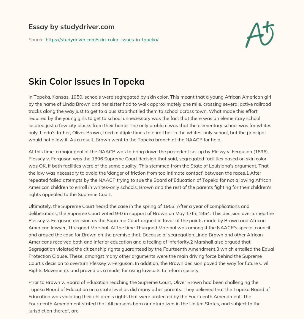 Skin Color Issues in Topeka essay