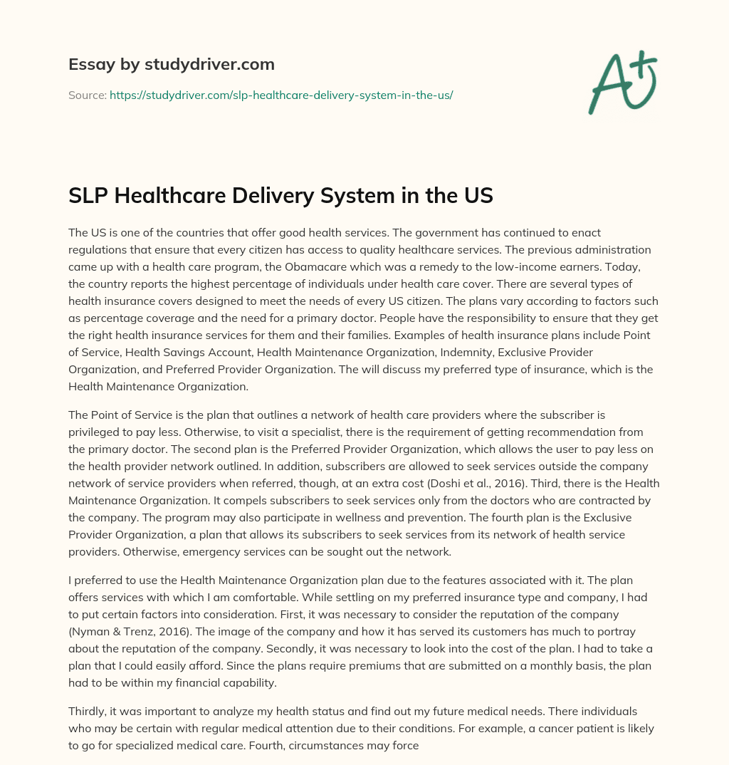 SLP Healthcare Delivery System in the US essay
