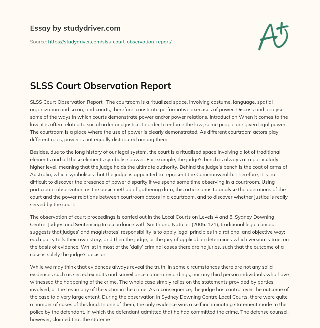 SLSS Court Observation Report essay