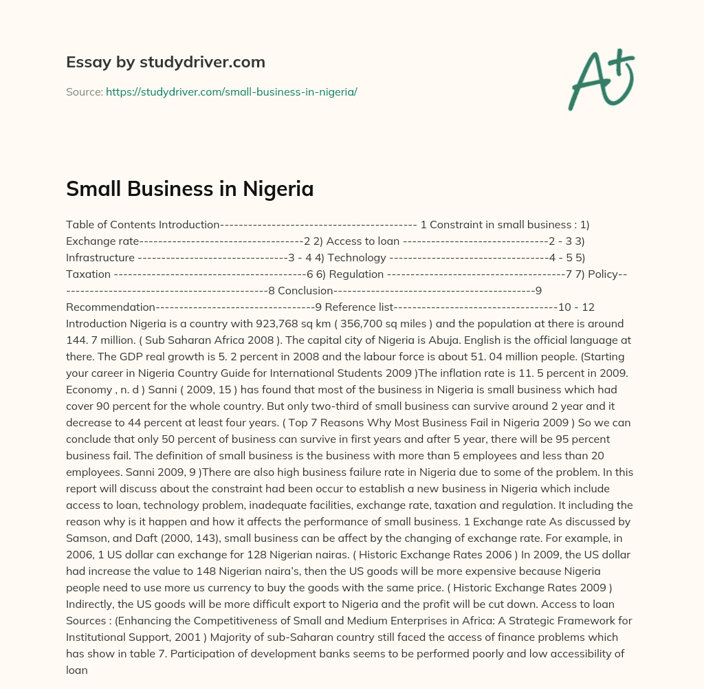 Small Business in Nigeria essay