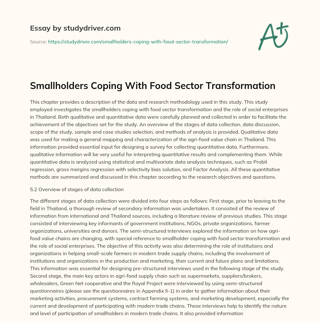 Smallholders Coping with Food Sector Transformation essay