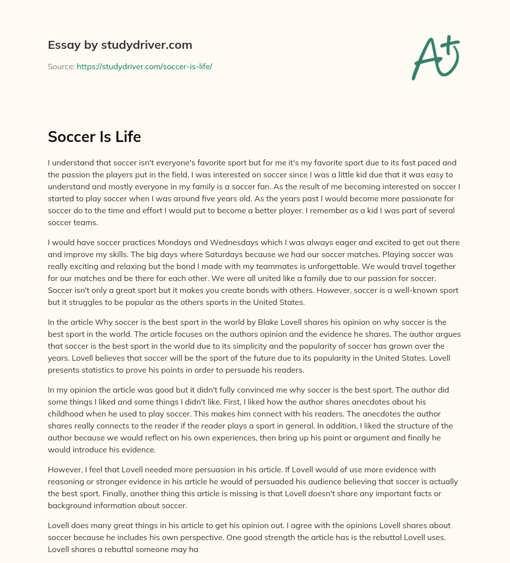 Soccer is Life essay