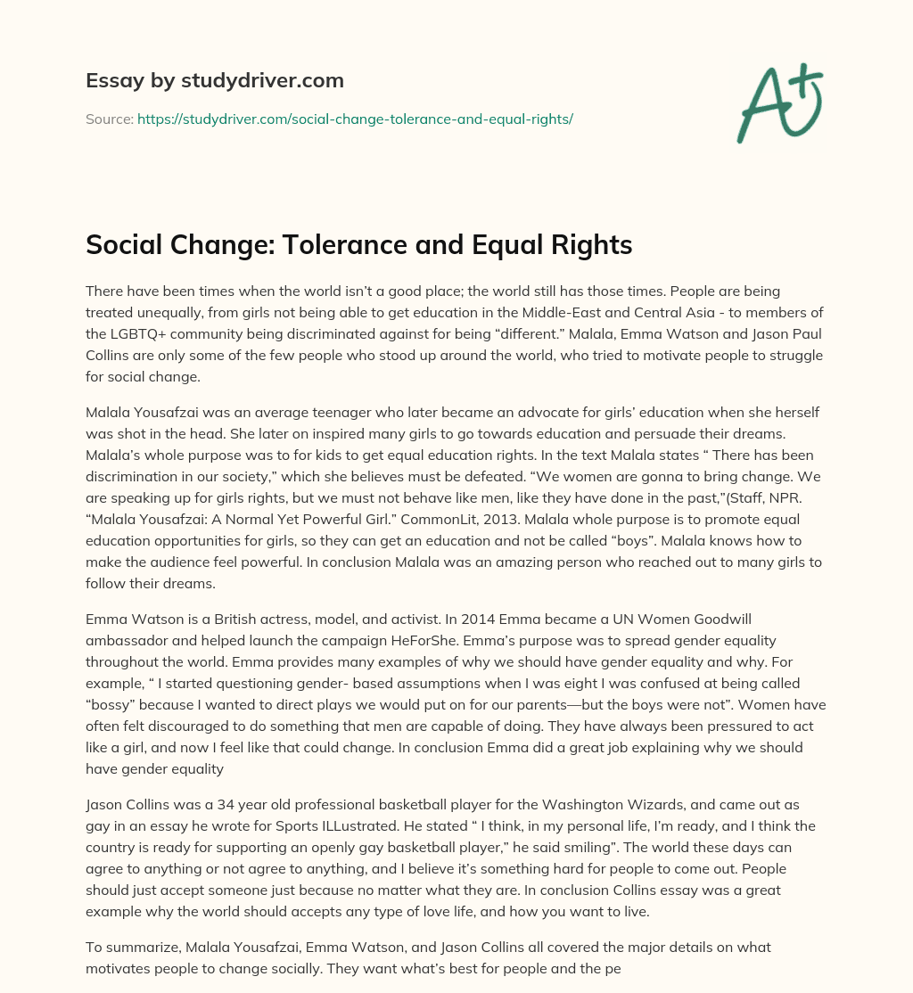 Social Change: Tolerance and Equal Rights essay