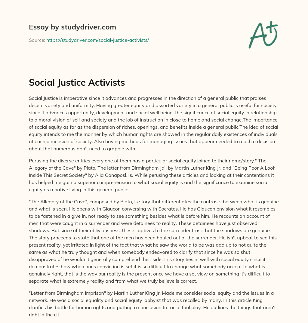 Social Justice Activists essay