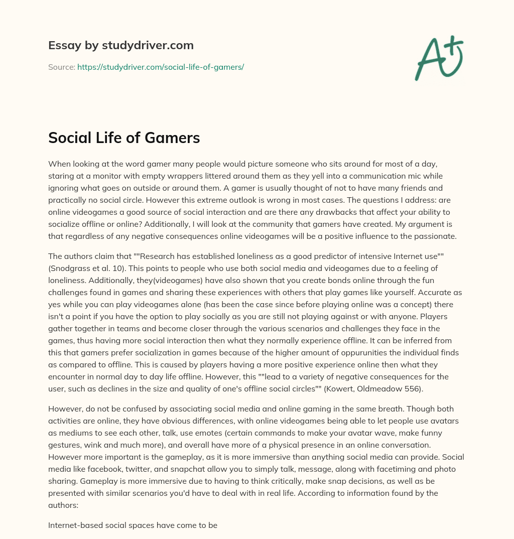 Social Life of Gamers essay