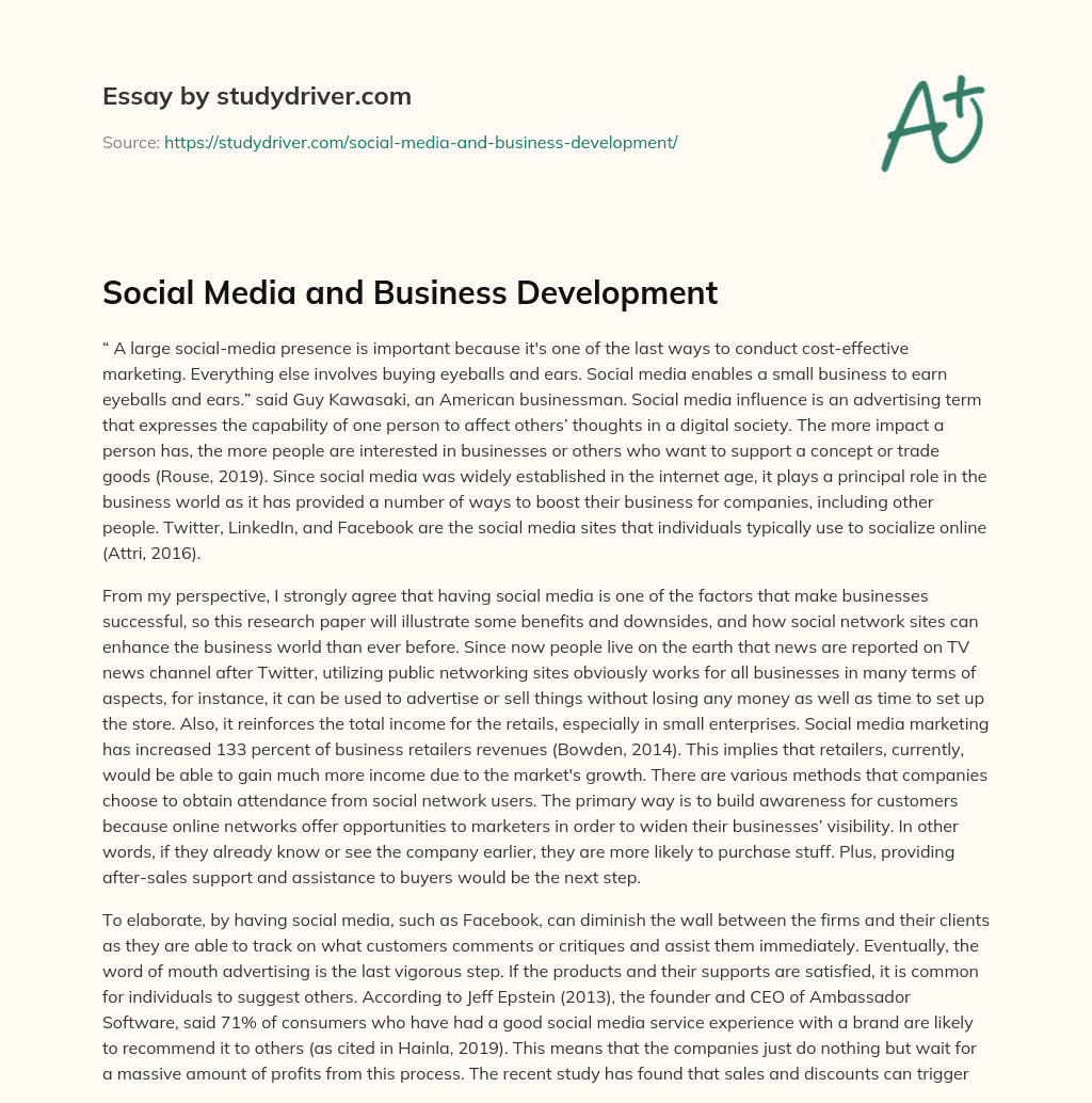 Social Media and Business Development essay