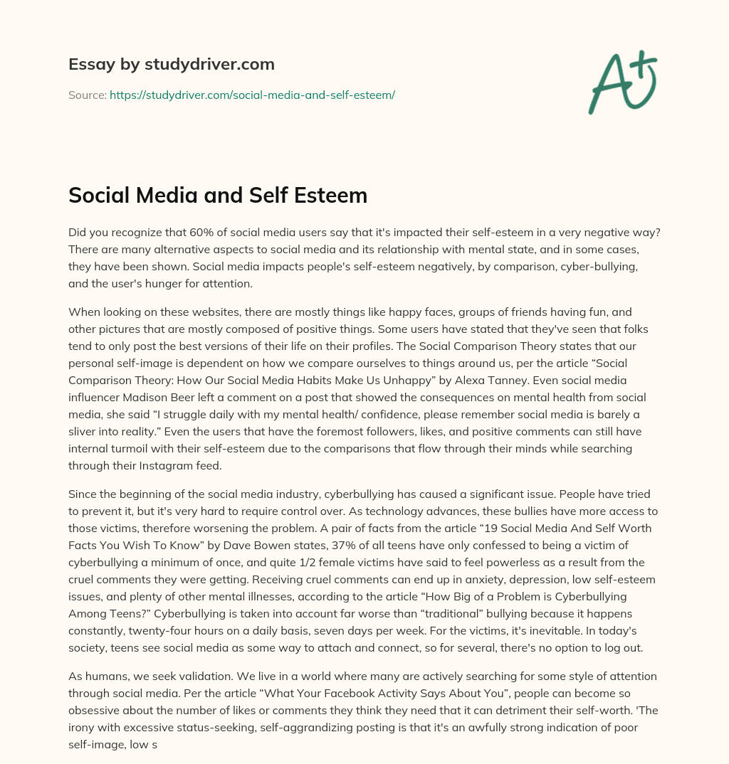 Social Media and Self Esteem essay