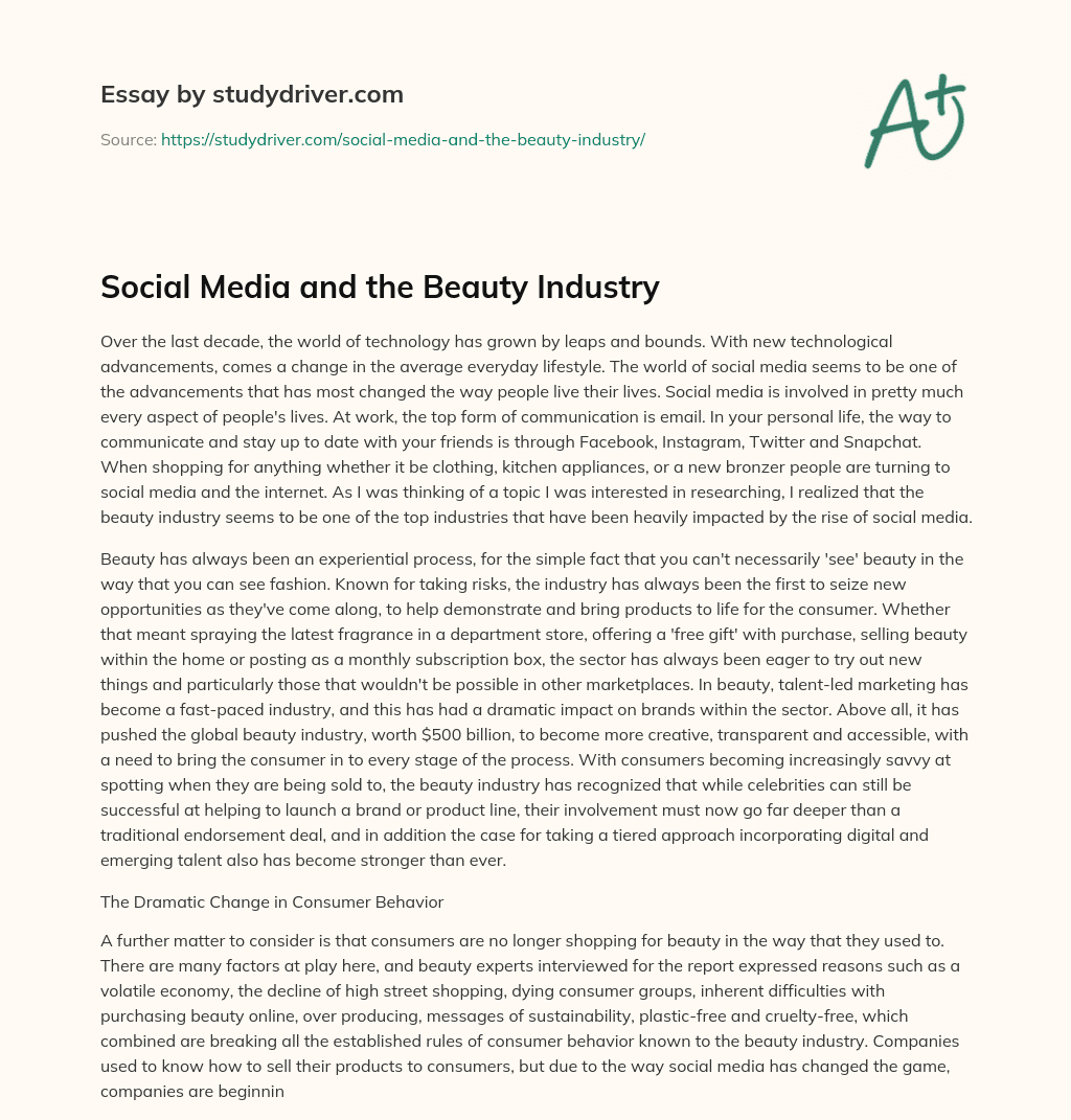 Social Media and the Beauty Industry essay
