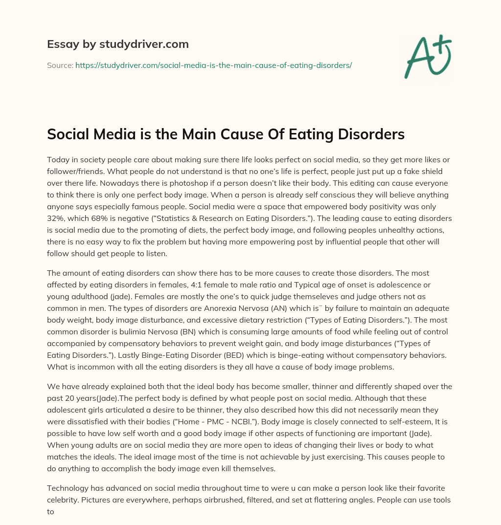 Social Media is the Main Cause of Eating Disorders essay