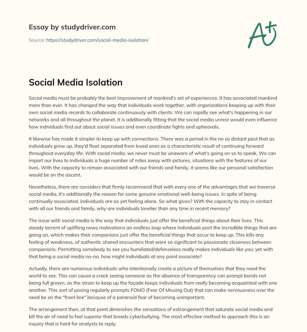 Social Media Isolation essay