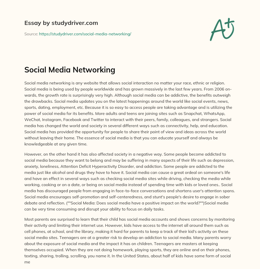 Social Media Networking essay