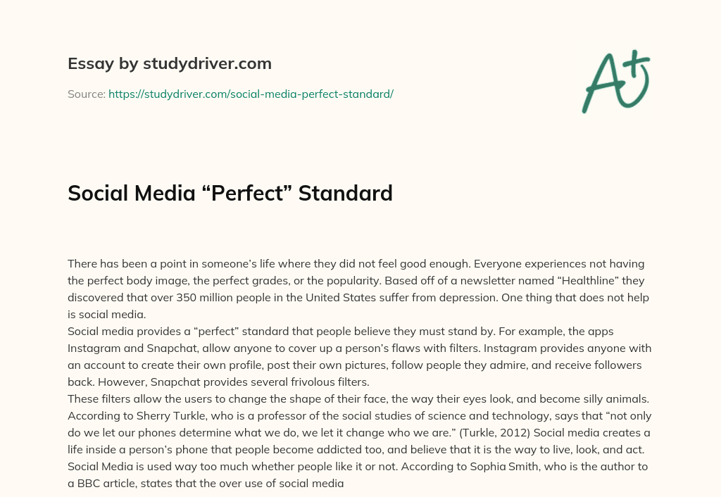 Social Media “Perfect” Standard essay